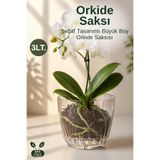 Nandy Home Orkide Saksısı Büyük Boy Şeffaf Alt Tablalı Dekoratif Saksı