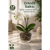 Nandy Home Orta Boy Şeffaf Orkide Saksısı Alt Tablalı Dekoratif Saksı - 1 Adet