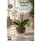 Nandy Home Orta Boy Şeffaf Orkide Saksısı Alt Tablalı Dekoratif Saksı