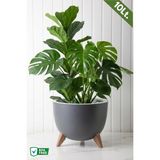 Nandy Home Ufo Model Saksı - 10LT. Saksı - Yuvarlak Modern Saksı - Antrasit