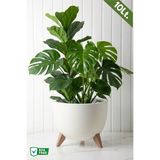 Nandy Home Ufo Model Saksı - 10LT. Saksı - Yuvarlak Modern Saksı - Krem
