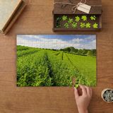 Nane Bahçesi - Doğa Yeşillik Tasarımı 240 Parça Ahşap Puzzle Ahşap Kutuda MP04220