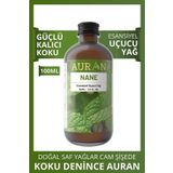 Nane Esansiyel Uçucu Koku Yağı Buhurdanlık Yağı Difüzör Esansı Hobi Esans Ortam Oda Kokusu 100ml
