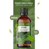 Nane Esansiyel Uçucu Koku Yağı Ortam Kokusu Doğal Yağ Sihirli Küre Hobi Esansı 100ml