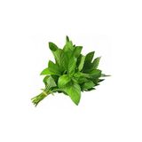 Nane Fresh Geniş Yaprak Tohumu Paket 100 Adet