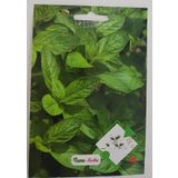 Nane Tohumu 1 PAKET 100 Adet Kokulu Nane Tohum Aromalı Nane Tohum