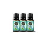 Nane Uçucu Yağı Buhurdanlık, Ortam Kokusu 10 Ml X 3 Adet