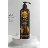 Nano Absolute Ab-I Hayat Saç Şampuanı 12 Içerikli Professional