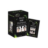 Nano Absolute Dexe Siyahlaştırıcı Şampuan 25ml X 10 Adet