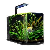 Nano Bullet Akvaryum 12 L