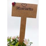 Nar Atölye 10'Lu Ahşap Tohum Etiketi Seti - 3Mm Mdf Bitki İsimliği Ve Saksı İşaretleyici - 5 Yazılı 5 Boş
