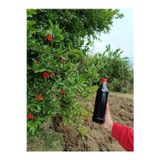 NAR EKŞİSİ (1 Litre)