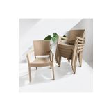 Nar Sokagi 6 Adet Karizma Rattan Kollu Sandalye Koltuk 6'Li Set