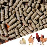 Narım 20 kg Pelet Proteinli Özel Tavuk Kaz Ördek ve Kanatlı Hayvan Besi Yumurta Yemi