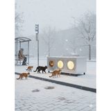 Narım Kedi Evi Kedi Yuvası Soğuk Iklim -30 Dereceye Dayanıklı 3 Kedilik