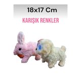 Narli Sesli Zıplayan Hareketli Tavşan Ve Köpek Pilli Peluş Oyuncak 17Cm