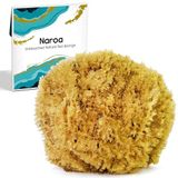 Naroa Banyo için doğal deniz süngeri, ağartılmamış duş vücut ovma süngeri, sağlıklı bir cilt için peeling süngeri, çevre dostu, plastik içermez, yenilenebilir sünger (orta)