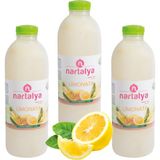 Nartalya Dondurulmuş Doğal Limonata Şeker Ilavesiz 3 Adet 900 Ml.