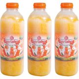 Nartalya Dondurulmuş Sıkma Portakal Suyu 3 Adet x 950 Ml.
