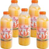 Nartalya Dondurulmuş Sıkma Portakal Suyu 5 Adet x 950 ml