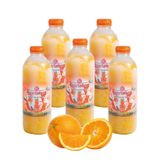 Nartalya Dondurulmuş Sıkma Portakal Suyu, Doğal, Katkısız, Pastörizasyon Yok, 950 ml, 5 Adet