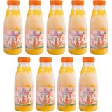 Nartalya Sıkma Portakal Suyu 9 Adet 330 Ml.dondurulmuş Ürün