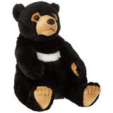 National Geographic Lelly Ulusal Coğrafi Temel Koleksiyon Black Bear