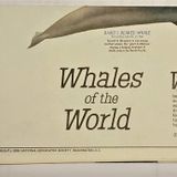 National Geographic Whales of World