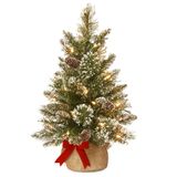 National Tree Company Önceden Aydınlatılmış Yapay Mini Noel Ağacı | Küçük LED Işıklar, Beyaz Uçlu, Parıltılı Dallar Koniler ve Bez Çanta Tabanı | Parlak Kıl Çam-2, 2 Ayak, Yeşil