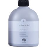 Native 475 ml Base Yoğunlaştırıcı Argan Şampuan