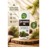 Natur Garden Çam Terebentin Yağı