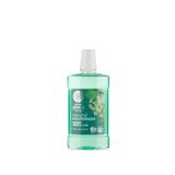 Natura Siberica Günlük Koruma Sağlayan Doğal Gargara 520 ml - 7 Farklı Bitki & Çinko