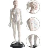 Naturachi Kadın Akupunktur Maketi 50 cm