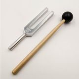 Naturachi Tuning Fork Diyapozon 1024 Hz Çatalı