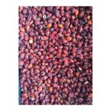 Natural 1 kg Kuşburnu Kurusu