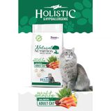 Natural Nutrition Somonlu Yetişkin Kedi Maması 12 Kg