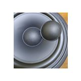 Natural Sound 10 Adet Midrange Hoparlör 6.5cm 65mm Toz Kapağı Dust Cap Kağıt Orta göbek