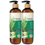 Naturals By Watsons 2x490 ml Aloe Vera Şampuan