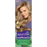 Naturals Saç Boyası Açık Küllü Kumral 8/1 - 12