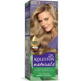Naturals Saç Boyası Açık Küllü Kumral 8/1 Nemere