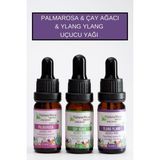 NaturaMisse Çay Ağacı Uçucu Yağı 10 ml Ylang Uçucu Yağı 10 ml Palmarosa Uçucu Yağı 10 ml %100 Saf