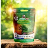 Naturasol Organik Sertifikalı Katı Solucan Gübresi 2 Kg (4 Litre) Sebze-Meyve, Çiçekler, Çim, İç & Dış Mekan, Süs Bitkileri