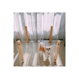 Naturbird Pleksi Ahşap Köpek Çiti