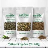 Naturdan Yeni Mahsül Yaprak Yeşil Çay - Mate Yaprağı - Funda Otu (3x Doğal Bitki Çayı 100 Gr) Set