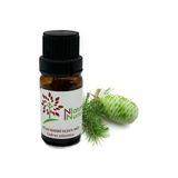 Nature & Nurture Sedir Uçucu Yağı