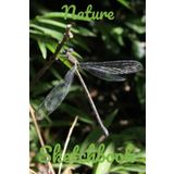 Nature Sketchbook