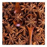 Naturel Anason Tohumu(100 adet)