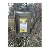 Naturel Sızma Zeytinyağı 18Lt