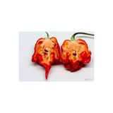 Naturel Tohum Carolina Reaper Biberi Tohumu Dünyanın En Acı Biberi (10 Adet Tohum)
