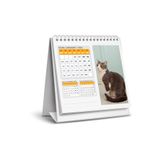 NATURELBASIM 2026 KEDİ MASA TAKVİMİ